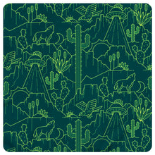 Load image into Gallery viewer, Desert Moon Carry All Pencil Case