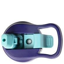 Load image into Gallery viewer, Cape Fiesta Spray Bottle
