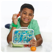 Load image into Gallery viewer, Yoki Explorers Clear Bento Box