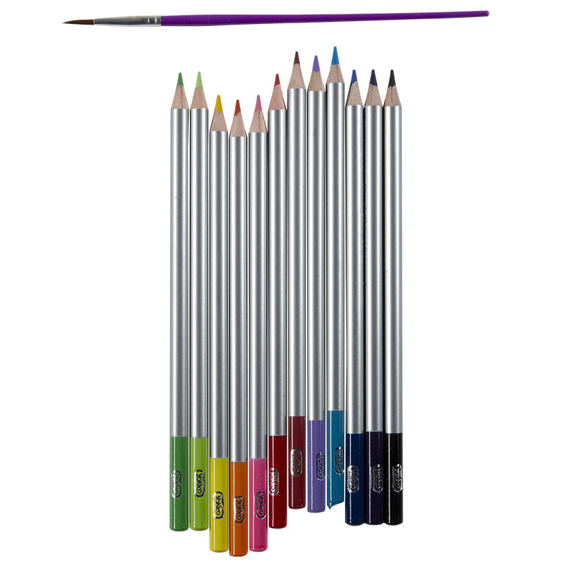 Water Colour Art Pencils (12pk)
