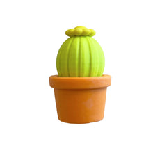 Load image into Gallery viewer, Cactus Eraser