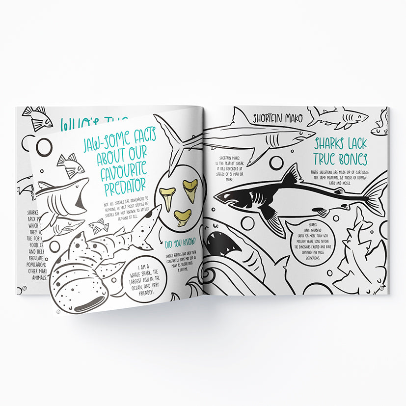 My Ocean Creative Book