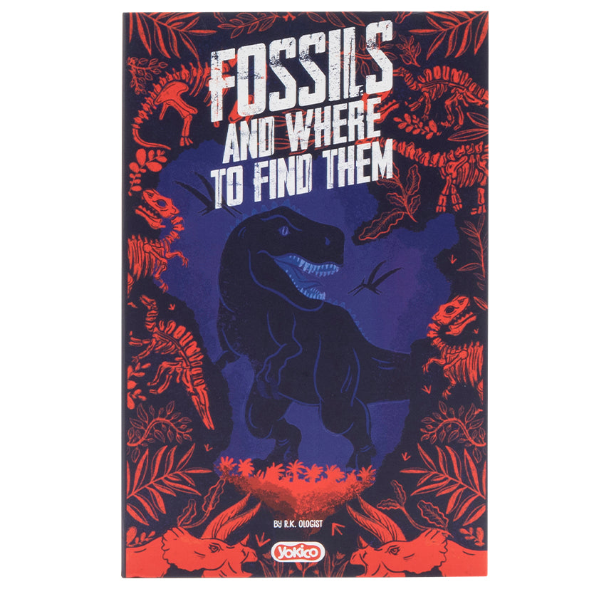 Fossils Book Safe